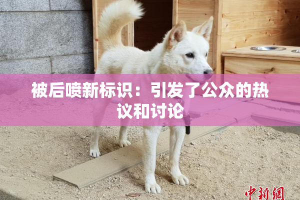 被后喷新标识：引发了公众的热议和讨论