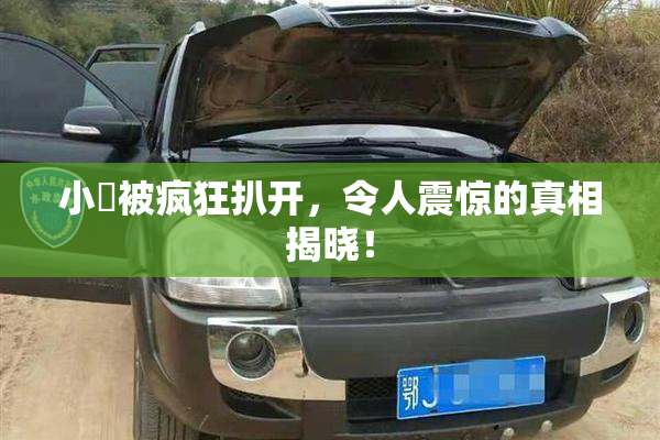 小泬被疯狂扒开，令人震惊的真相揭晓！