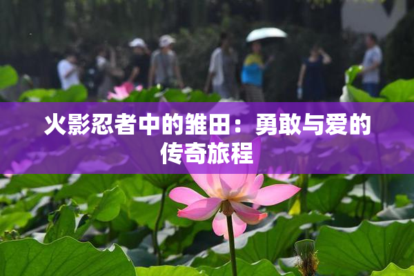 火影忍者中的雏田：勇敢与爱的传奇旅程