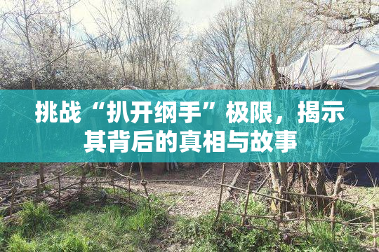 挑战“扒开纲手”极限，揭示其背后的真相与故事