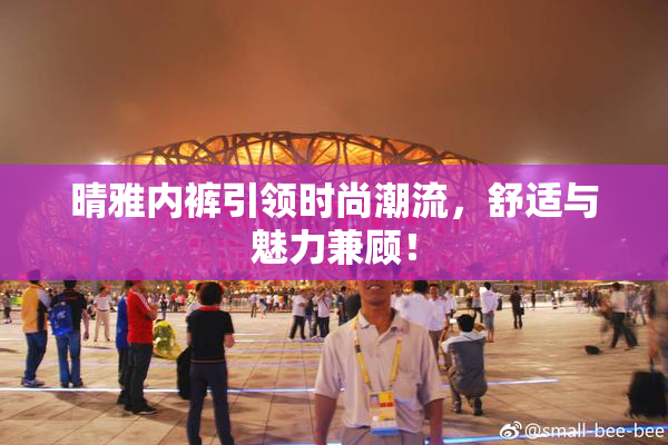 晴雅内裤引领时尚潮流，舒适与魅力兼顾！