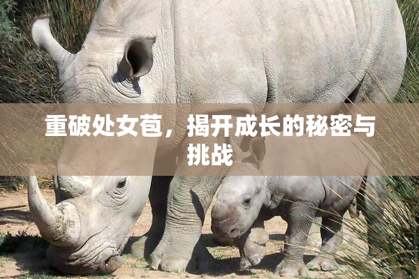 重破处女苞，揭开成长的秘密与挑战