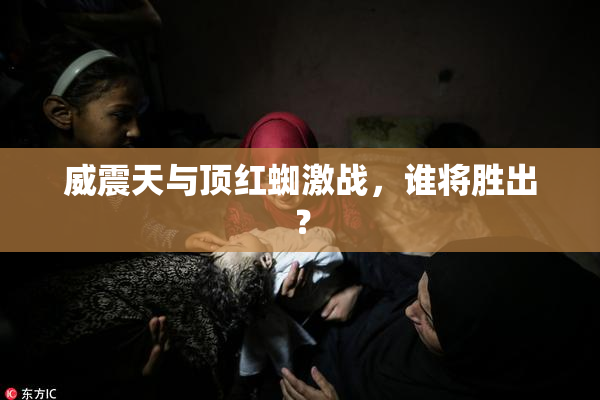 威震天与顶红蜘激战，谁将胜出？