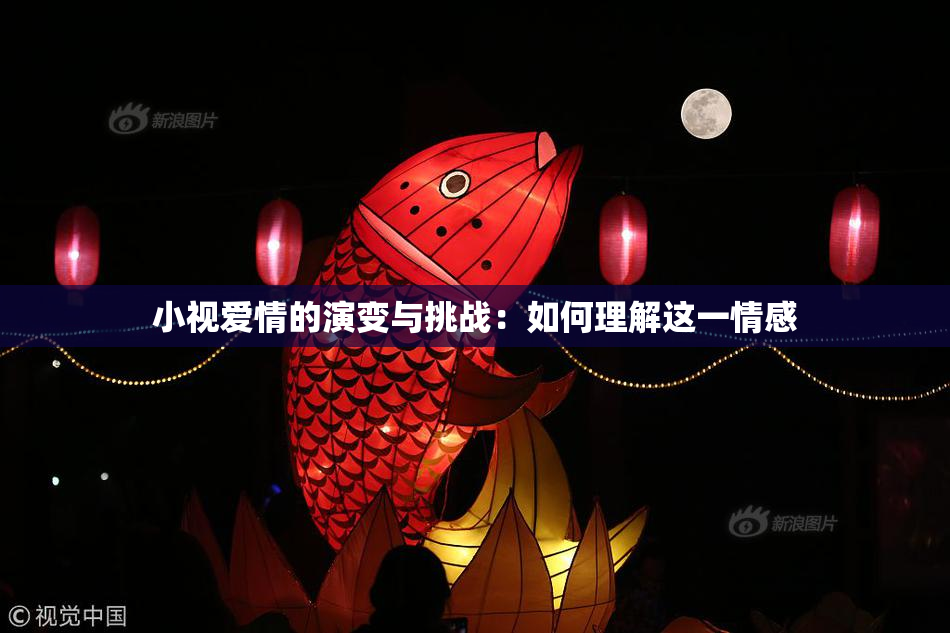 小视爱情的演变与挑战：如何理解这一情感