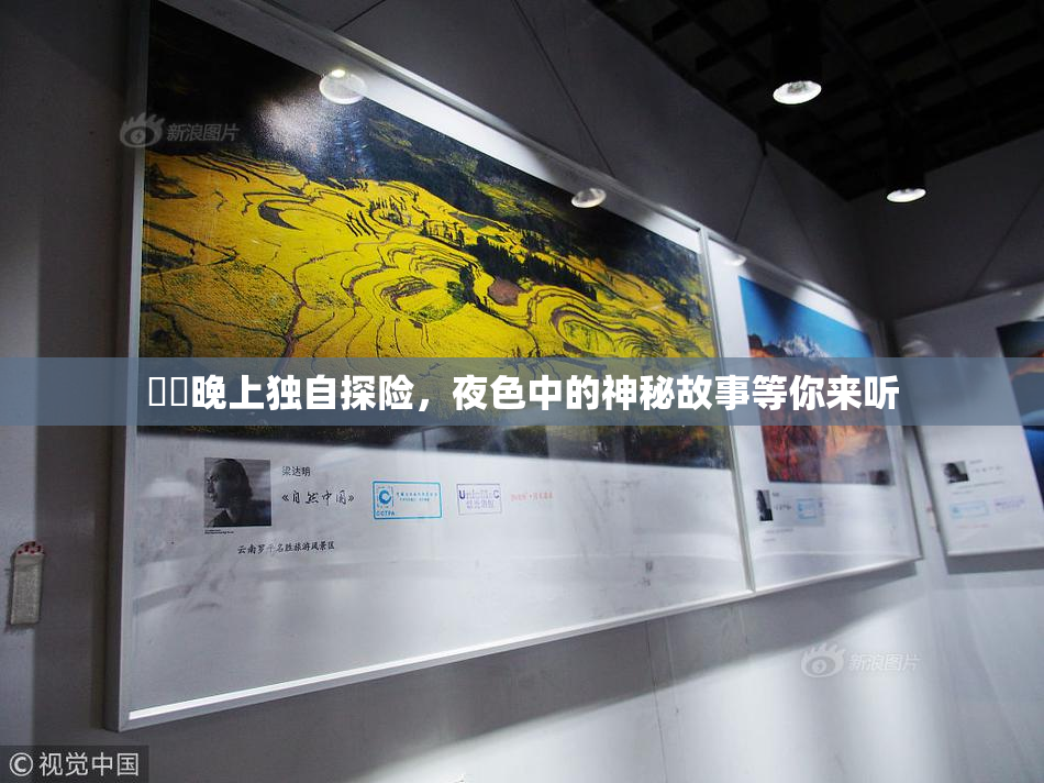 妺妺晚上独自探险，夜色中的神秘故事等你来听