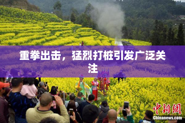 重拳出击，猛烈打桩引发广泛关注