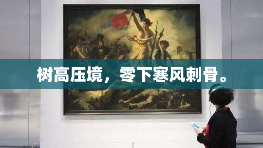 树高压境，零下寒风刺骨。