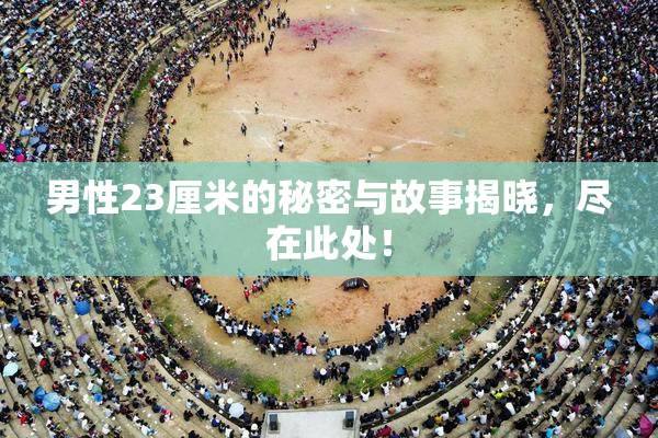 男性23厘米的秘密与故事揭晓，尽在此处！