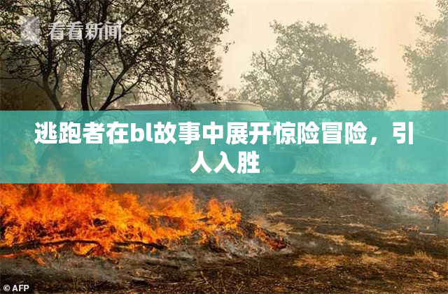 逃跑者在bl故事中展开惊险冒险，引人入胜