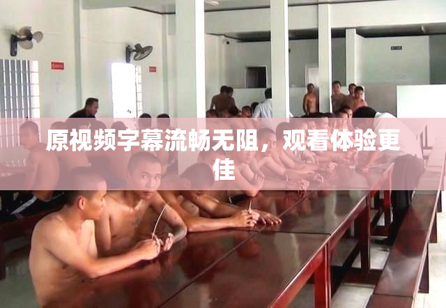 原视频字幕流畅无阻，观看体验更佳