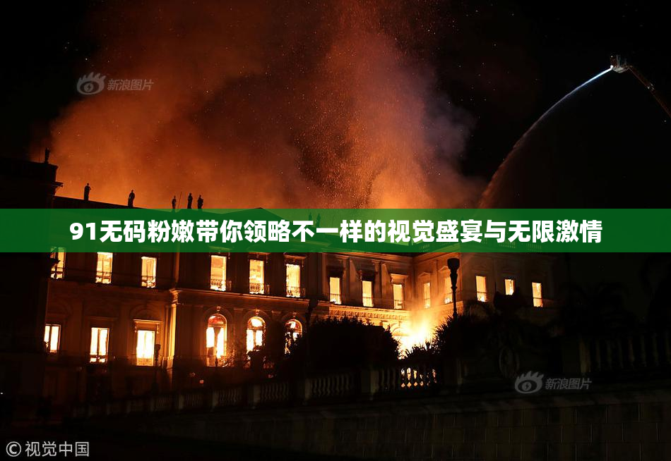 91无码粉嫩带你领略不一样的视觉盛宴与无限激情