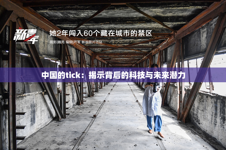 中国的tick：揭示背后的科技与未来潜力