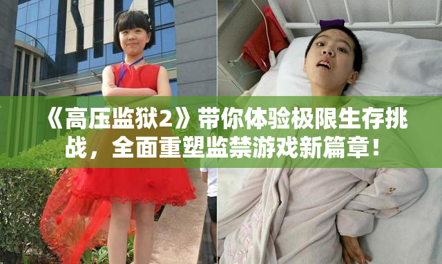 《高压监狱2》带你体验极限生存挑战，全面重塑监禁游戏新篇章！