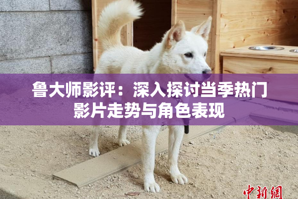 鲁大师影评：深入探讨当季热门影片走势与角色表现