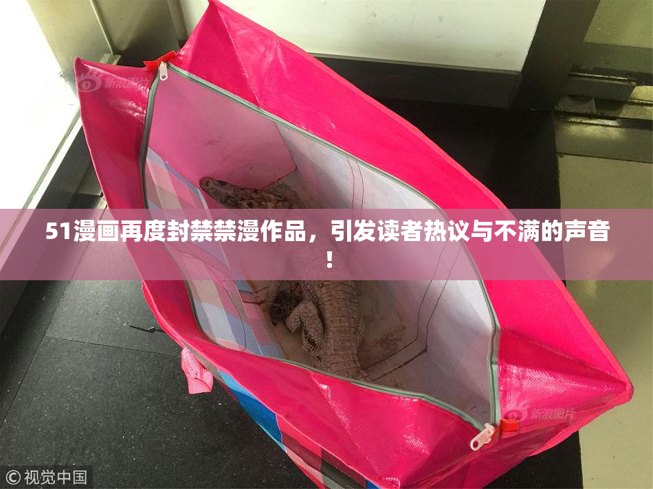 51漫画再度封禁禁漫作品，引发读者热议与不满的声音！