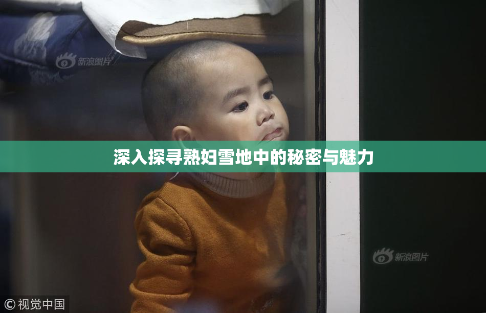 深入探寻熟妇雪地中的秘密与魅力