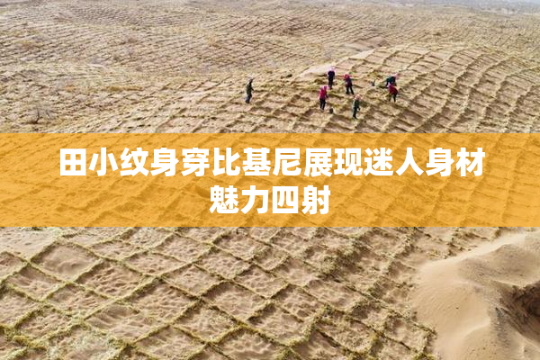 田小纹身穿比基尼展现迷人身材魅力四射