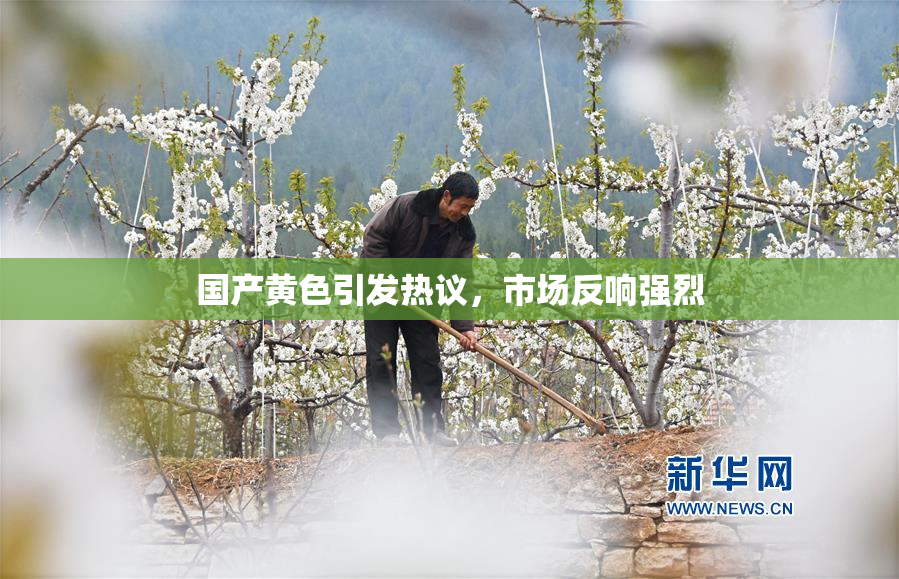 国产黄色引发热议，市场反响强烈