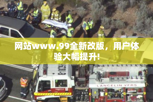 网站www.99全新改版，用户体验大幅提升!