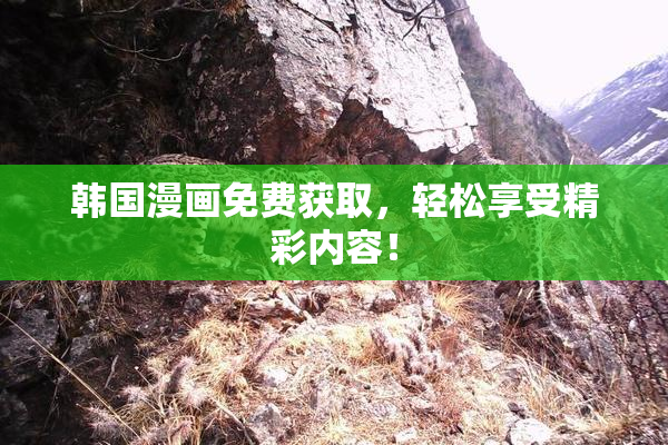 韩国漫画免费获取，轻松享受精彩内容！