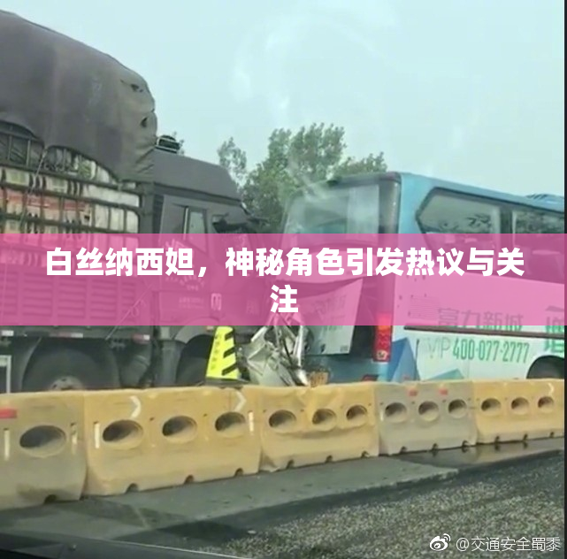 白丝纳西妲，神秘角色引发热议与关注