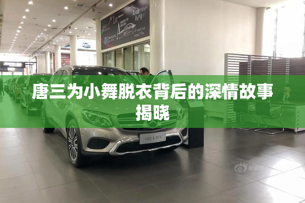 唐三为小舞脱衣背后的深情故事揭晓