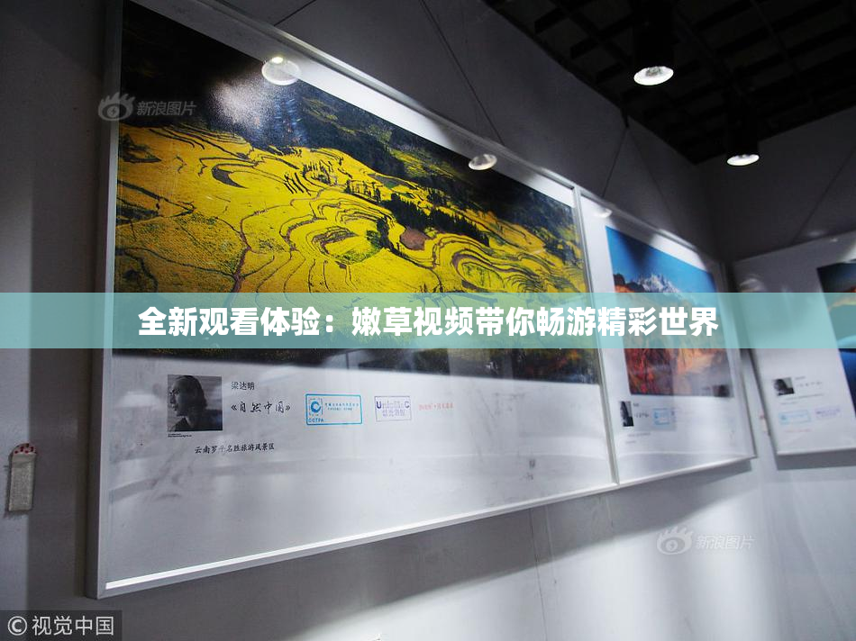 全新观看体验：嫩草视频带你畅游精彩世界