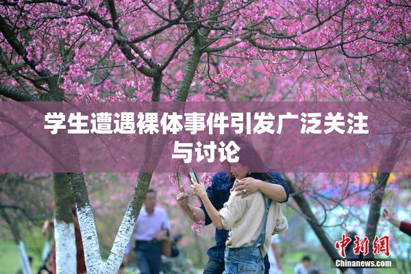 学生遭遇裸体事件引发广泛关注与讨论
