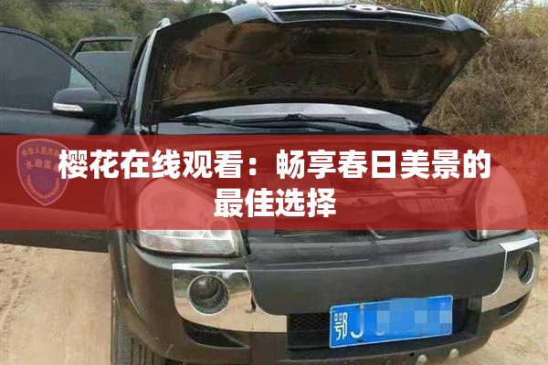 樱花在线观看：畅享春日美景的最佳选择