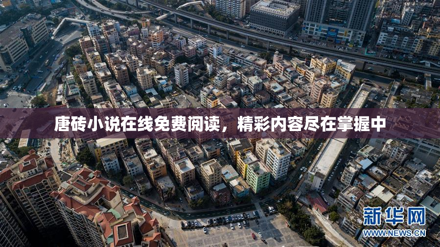 唐砖小说在线免费阅读，精彩内容尽在掌握中