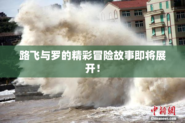 路飞与罗的精彩冒险故事即将展开！
