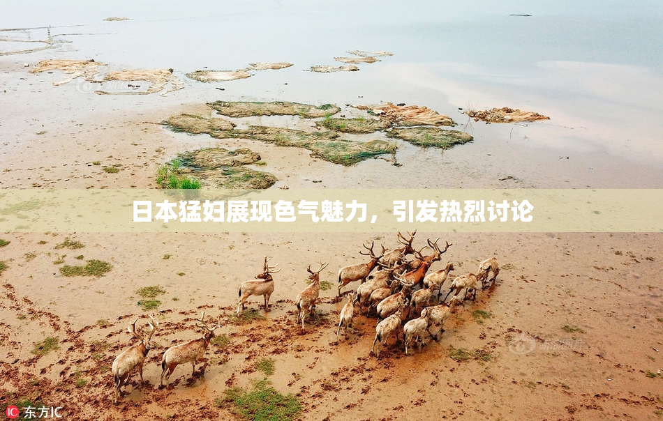 日本猛妇展现色气魅力，引发热烈讨论