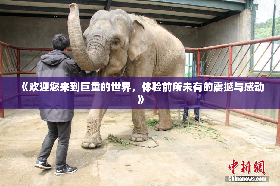 《欢迎您来到巨重的世界，体验前所未有的震撼与感动》