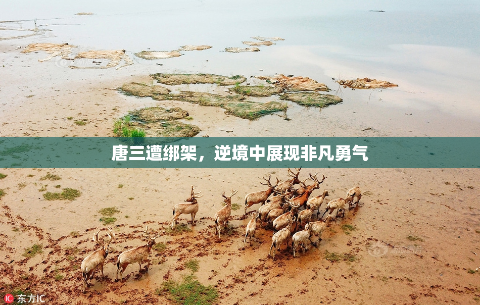 唐三遭绑架，逆境中展现非凡勇气