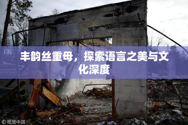 丰韵丝重母，探索语言之美与文化深度