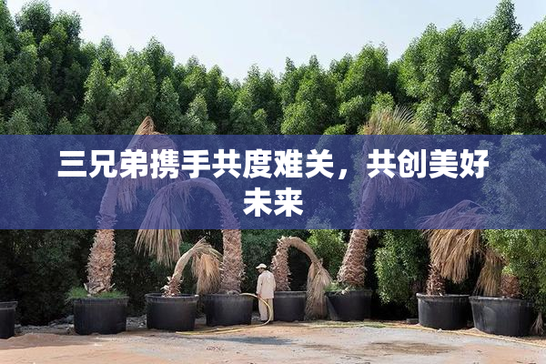 三兄弟携手共度难关，共创美好未来