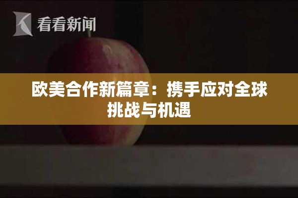 欧美合作新篇章：携手应对全球挑战与机遇