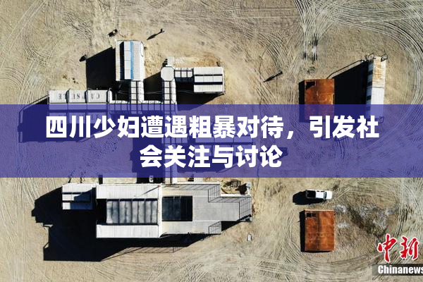 四川少妇遭遇粗暴对待，引发社会关注与讨论