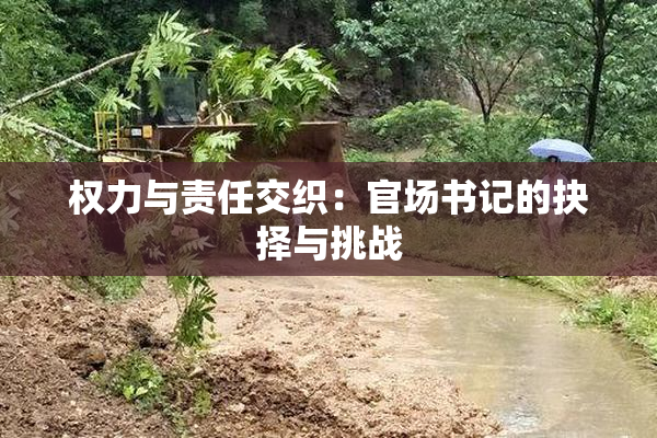 权力与责任交织：官场书记的抉择与挑战