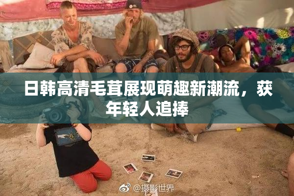 日韩高清毛茸展现萌趣新潮流，获年轻人追捧