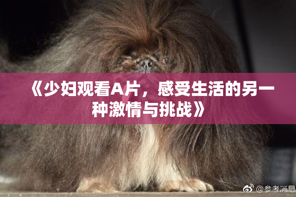 《少妇观看A片，感受生活的另一种激情与挑战》