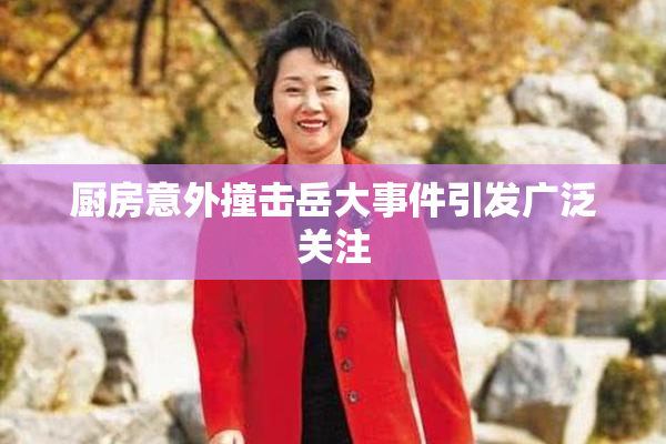 厨房意外撞击岳大事件引发广泛关注