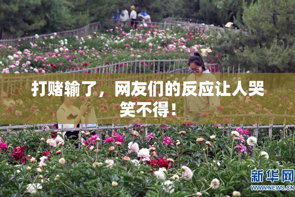 打赌输了，网友们的反应让人哭笑不得！