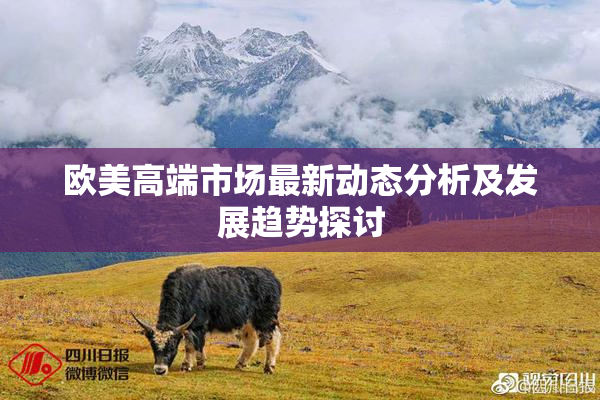欧美高端市场最新动态分析及发展趋势探讨