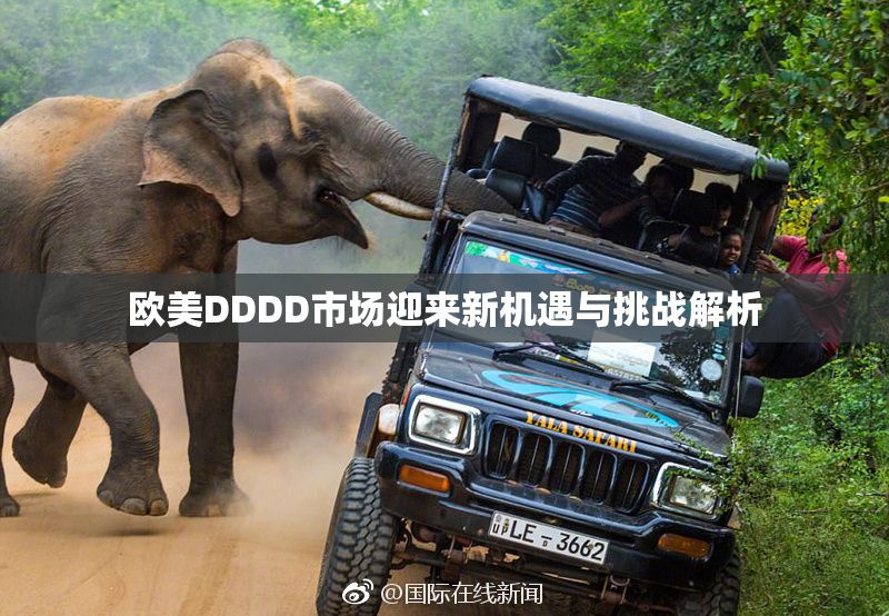 欧美DDDD市场迎来新机遇与挑战解析