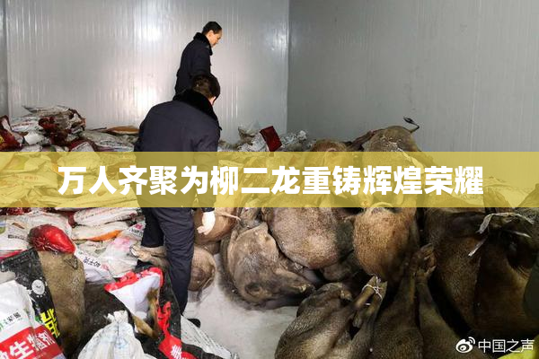 万人齐聚为柳二龙重铸辉煌荣耀