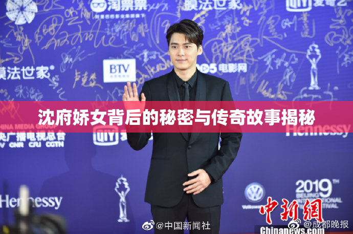 沈府娇女背后的秘密与传奇故事揭秘