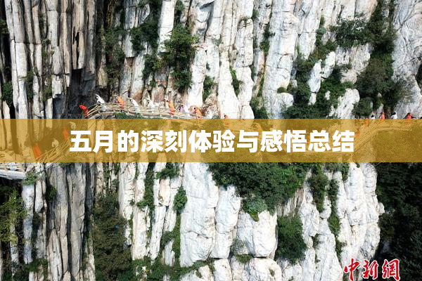 五月的深刻体验与感悟总结