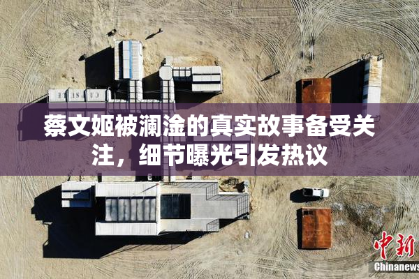 蔡文姬被澜淦的真实故事备受关注，细节曝光引发热议