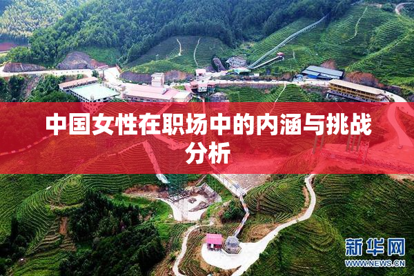 中国女性在职场中的内涵与挑战分析